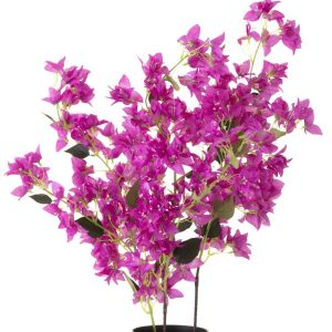 Fleur de Bougainvillier (Art.)