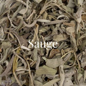 Feuilles de Sauge