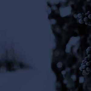 Dégustation vins blancs et vins rouges – 10 pax – Clémentine BONNEAU – 28 mai 2024 – 50% Acompte